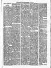 West Sussex County Times Saturday 19 November 1887 Page 7