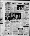 West Sussex County Times Friday 28 October 1983 Page 17