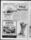 West Sussex County Times Friday 14 April 1989 Page 67