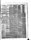 Eastbourne Gazette Wednesday 29 December 1875 Page 3