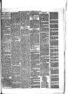 Eastbourne Gazette Wednesday 11 February 1880 Page 7