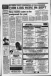 Eastbourne Gazette Wednesday 29 January 1986 Page 17
