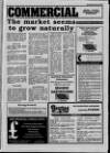 Eastbourne Gazette Wednesday 17 February 1988 Page 45