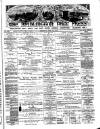 Bridlington Free Press Saturday 20 April 1878 Page 1