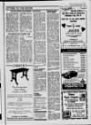 Bridlington Free Press Thursday 06 February 1986 Page 31
