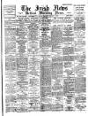 Irish News and Belfast Morning News Saturday 05 January 1895 Page 1