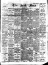 Irish News and Belfast Morning News Tuesday 03 September 1901 Page 1