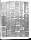 Rugby Advertiser Saturday 23 March 1867 Page 3