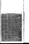 Rugby Advertiser Saturday 15 February 1868 Page 7