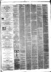 Rugby Advertiser Saturday 15 January 1870 Page 3