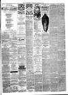 Rugby Advertiser Saturday 18 March 1876 Page 3