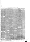 Rugby Advertiser Wednesday 22 May 1878 Page 3