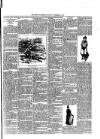Rugby Advertiser Wednesday 04 February 1891 Page 3