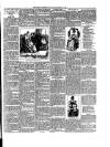 Rugby Advertiser Wednesday 11 March 1891 Page 3