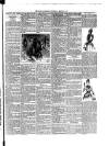 Rugby Advertiser Wednesday 25 March 1891 Page 3