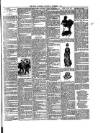 Rugby Advertiser Wednesday 02 December 1891 Page 3