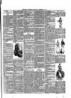 Rugby Advertiser Wednesday 23 December 1891 Page 3