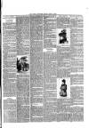 Rugby Advertiser Tuesday 10 April 1894 Page 3