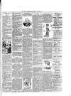 Rugby Advertiser Tuesday 22 January 1901 Page 3
