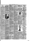 Rugby Advertiser Tuesday 05 March 1901 Page 3