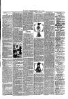 Rugby Advertiser Tuesday 02 April 1901 Page 3