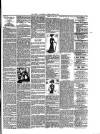 Rugby Advertiser Tuesday 04 June 1901 Page 3