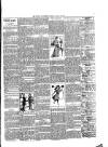 Rugby Advertiser Tuesday 20 August 1901 Page 3