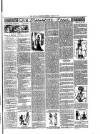 Rugby Advertiser Tuesday 04 March 1902 Page 3