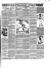 Rugby Advertiser Tuesday 02 December 1902 Page 3