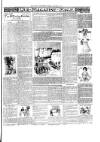 Rugby Advertiser Tuesday 06 January 1903 Page 3