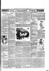 Rugby Advertiser Tuesday 29 September 1903 Page 3