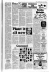 Rugby Advertiser Thursday 13 March 1986 Page 49