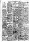 Montgomeryshire Express Tuesday 15 June 1875 Page 3