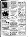 Irish Society (Dublin) Saturday 08 March 1890 Page 25