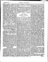 Irish Society (Dublin) Saturday 25 October 1890 Page 13