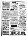 Irish Society (Dublin) Saturday 21 March 1891 Page 29