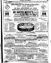 Irish Society (Dublin) Saturday 06 June 1891 Page 19