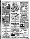 Irish Society (Dublin) Saturday 19 August 1893 Page 29