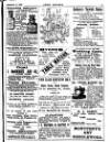 Irish Society (Dublin) Saturday 16 September 1893 Page 29