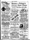 Irish Society (Dublin) Saturday 23 September 1893 Page 29