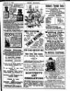 Irish Society (Dublin) Saturday 30 September 1893 Page 29