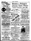 Irish Society (Dublin) Saturday 21 October 1893 Page 29