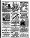 Irish Society (Dublin) Saturday 11 November 1893 Page 29