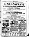 Irish Society (Dublin) Saturday 20 January 1894 Page 3