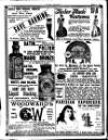 Irish Society (Dublin) Saturday 17 March 1894 Page 32