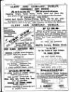 Irish Society (Dublin) Saturday 29 September 1894 Page 3