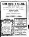 Irish Society (Dublin) Saturday 15 February 1919 Page 10