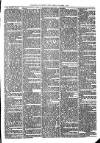 Todmorden & District News Friday 01 December 1871 Page 3