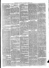 Todmorden & District News Friday 14 March 1873 Page 3