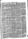 Todmorden & District News Friday 20 June 1873 Page 3